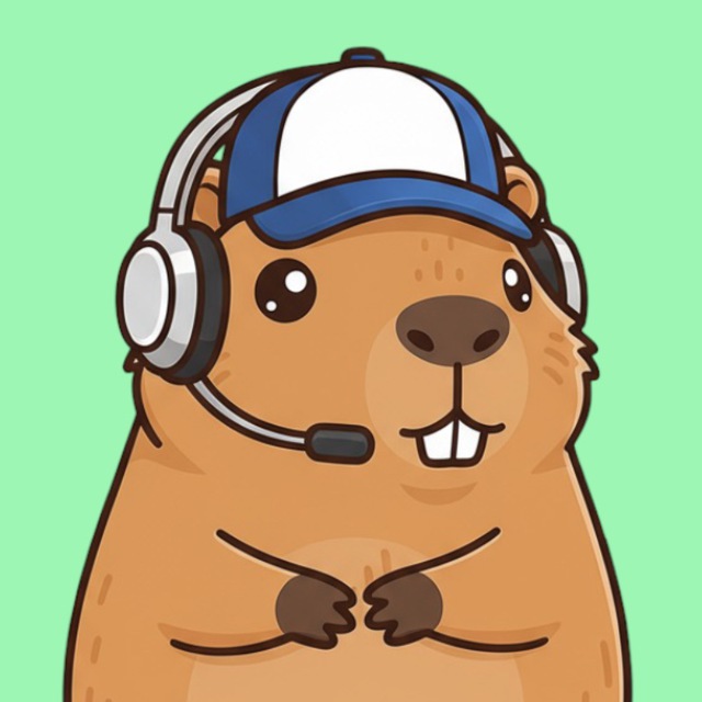 Baraphrase Translate