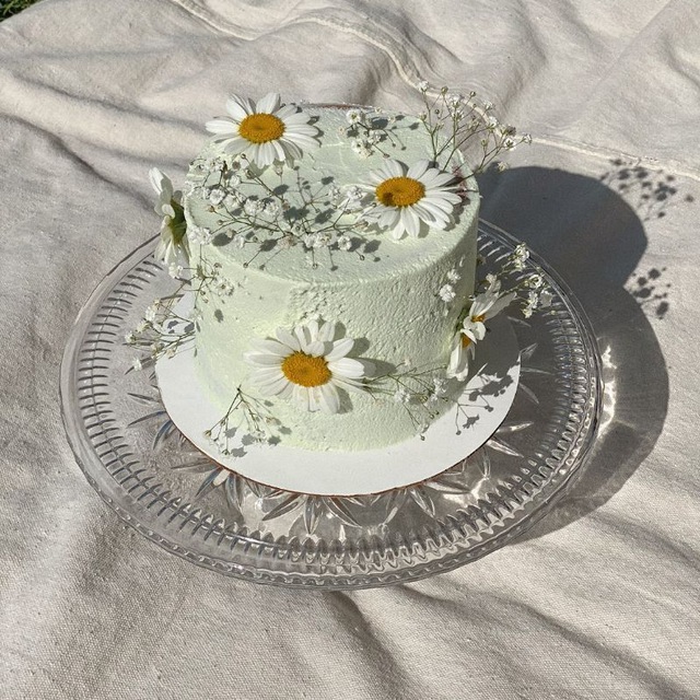 𝔹𝕀ℝ𝕋ℍ𝔻𝔸𝕐 ℝ𝔼𝕄𝕀ℕ𝔻𝔼ℝ🎉